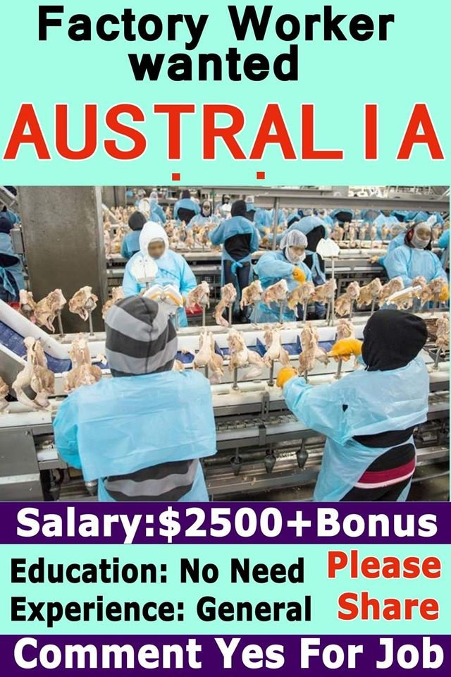 Factory Worker Wanted In Australia