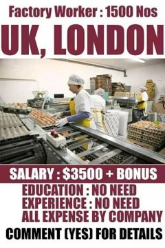 Jobs Open In London
