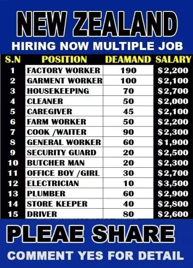 Multiple Jobs Hiring In New Zealand