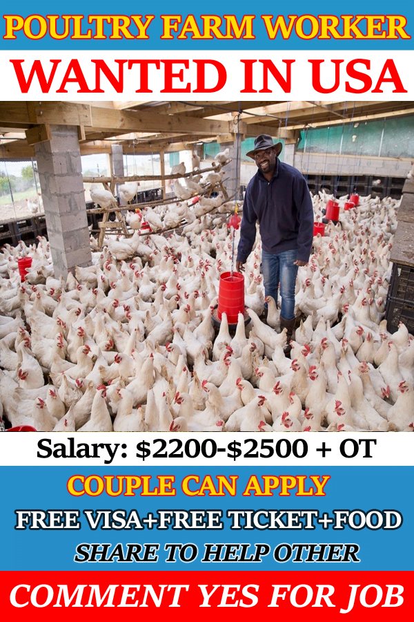 Poultry Farm Jobs In USA