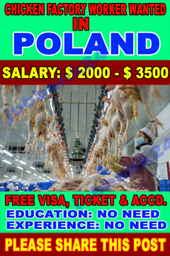 Factory Worker Wanted In Poland