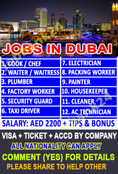 Dubai Job Agency In Dubai