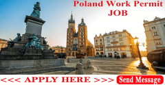 Jobs In Demand Poland