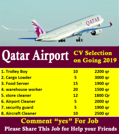 Latest Job In Qatar Airways