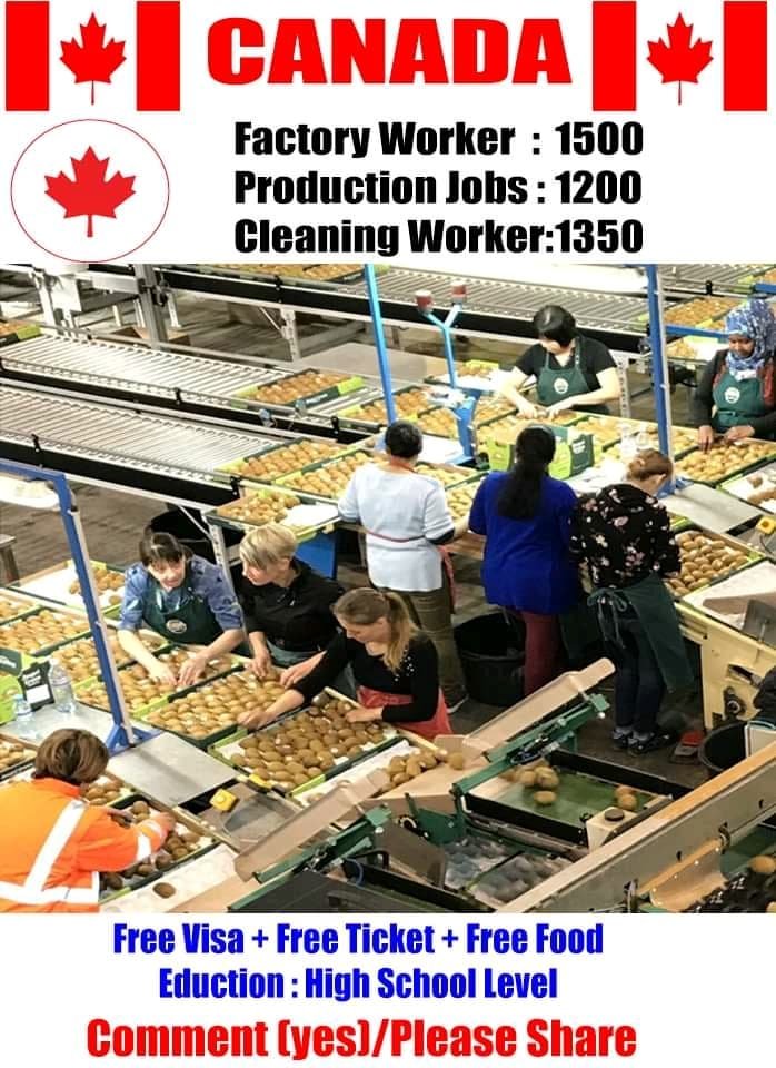Urgent Hiring Jobs In Canada