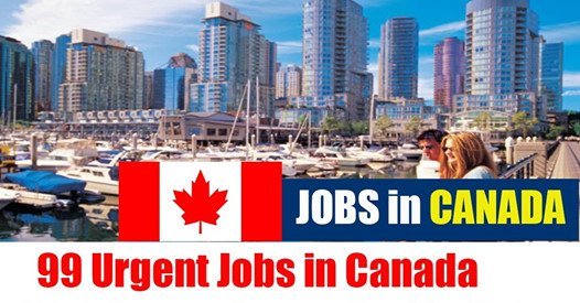 Jobs With Canada Government-Apply Now