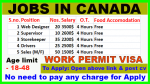 Highest paying job in Canada for International students