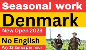 Denmark Seasonal Work Visa with Sponsorship