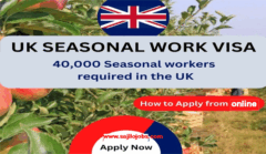 UK Seasonal Visa Apply Online