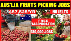 Apple Picker Jobs in Australia
