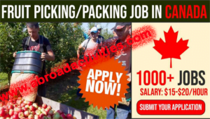 Berry Packaging Jobs in Canada with visa Sponsorship for Foreigners