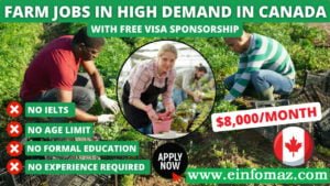 Highest paying agriculture jobs in Canada