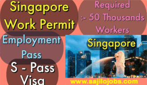 Singapore Work Permit and S Pass Visa