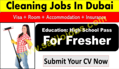 Dubai Cleaner job vacancy